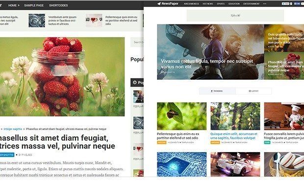 MTS Newspaper Best WordPress AdSense Friendly Theme With High CTR ad slots