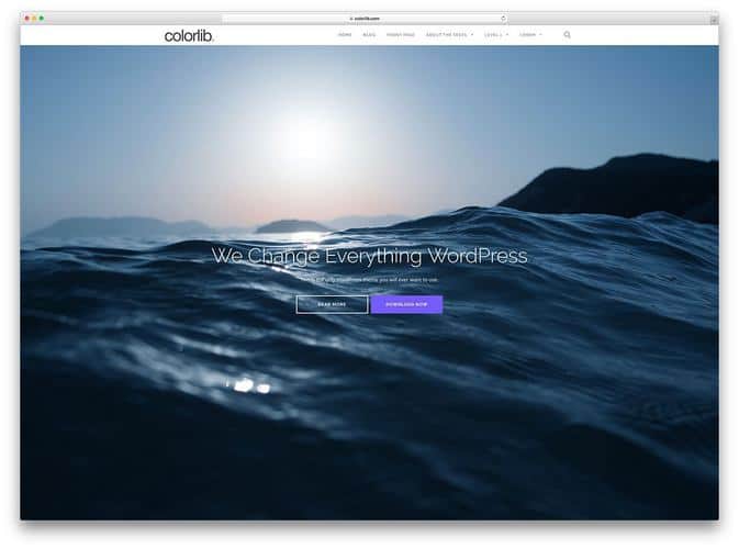shapely-free-multipurpose-WordPress-theme
