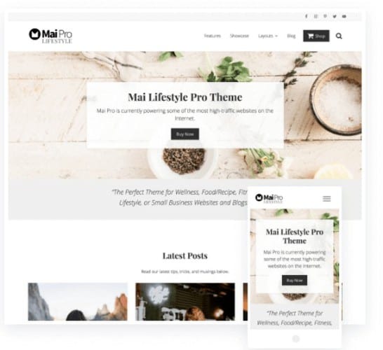 Mai Lifestyle Pro Theme