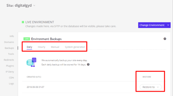 kinsta backups service