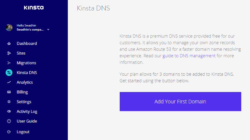 kinsta premium DNS review