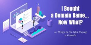 I bought a domain now what - 10 things to do with domains